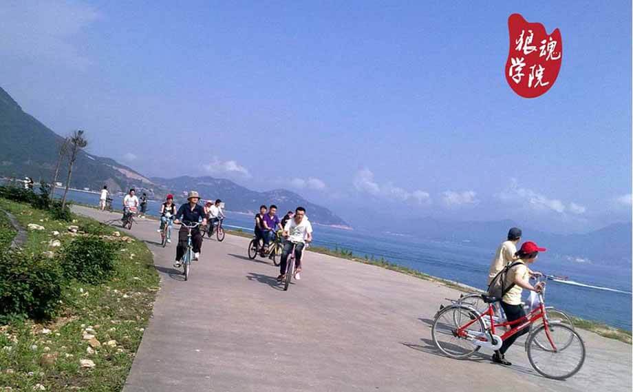 �����ȵ���